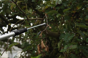 Axis Line profi Obstschüttler mit M8 Edelstahl für Teleskopstangen