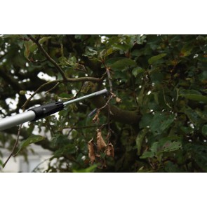 Axis Line profi Obstschüttler mit M8 Edelstahl für Teleskopstangen